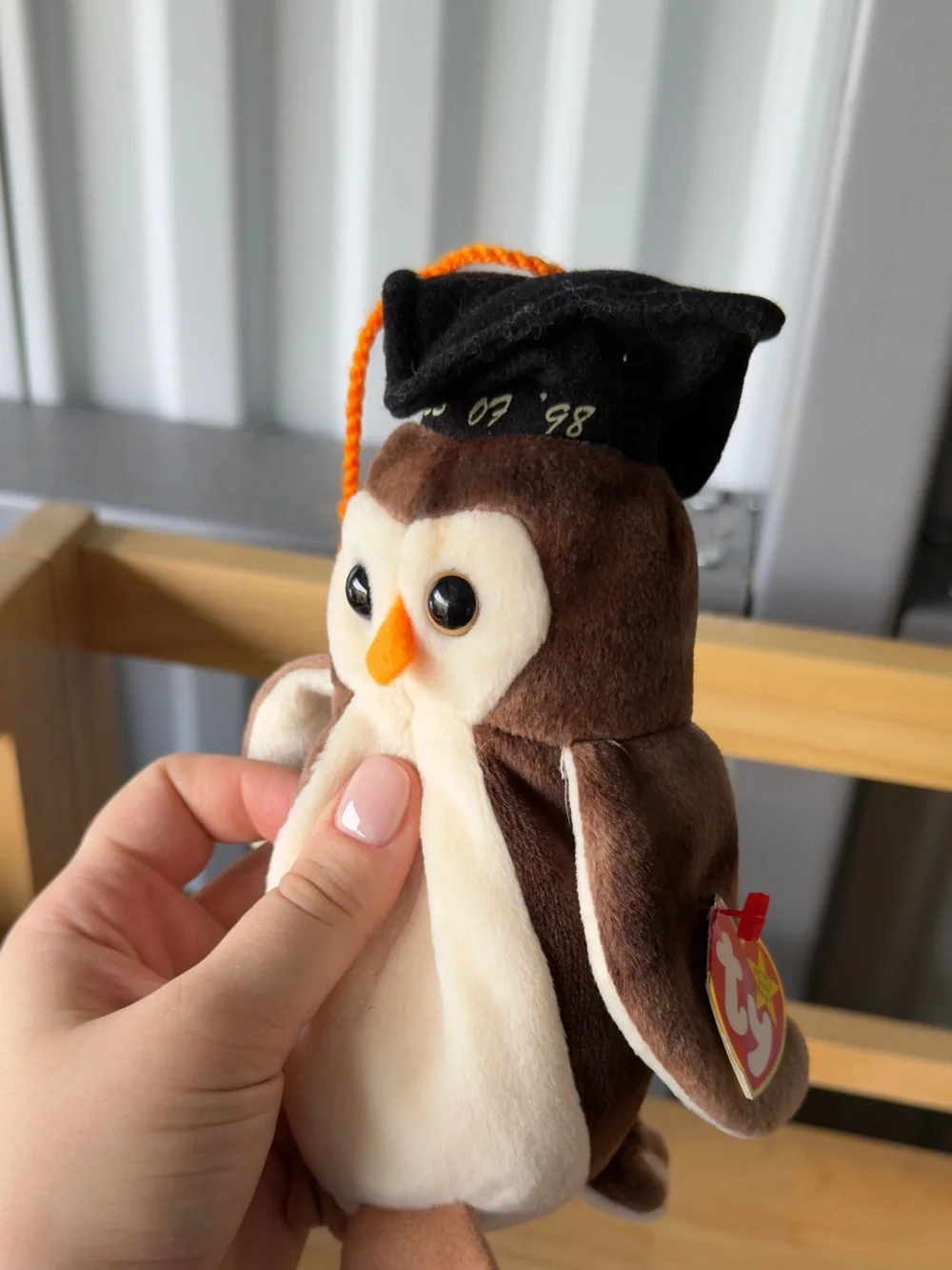 Ty Beanie Babies Wise Owl Class of 98 Brown Ivory 7